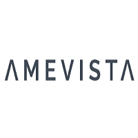 Amevista IT