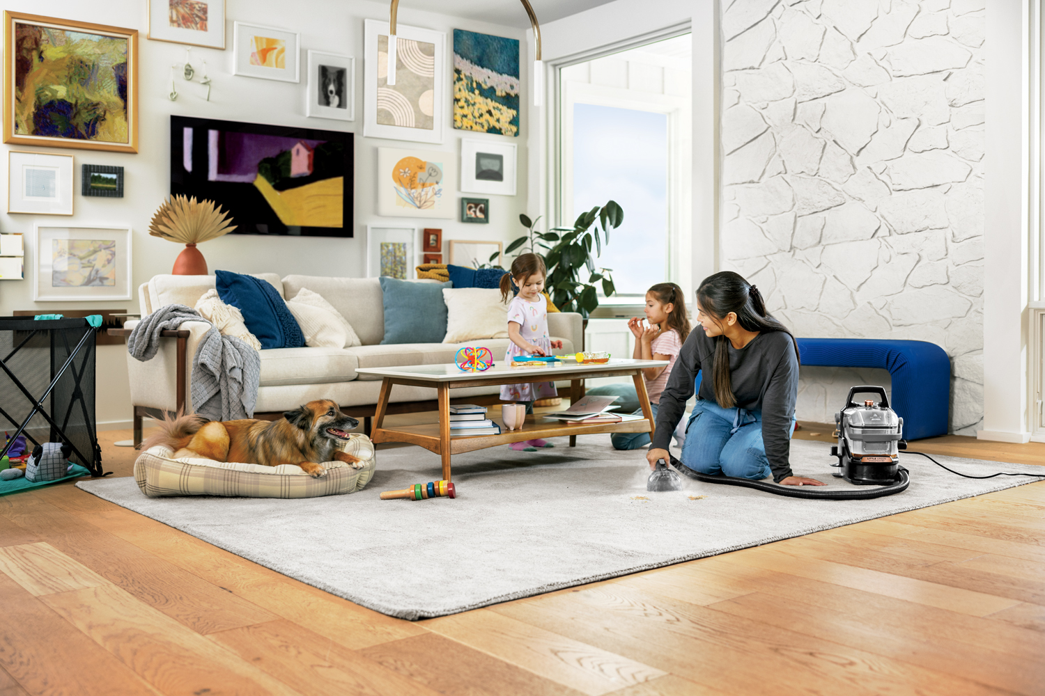 Best Carpet Cleaners