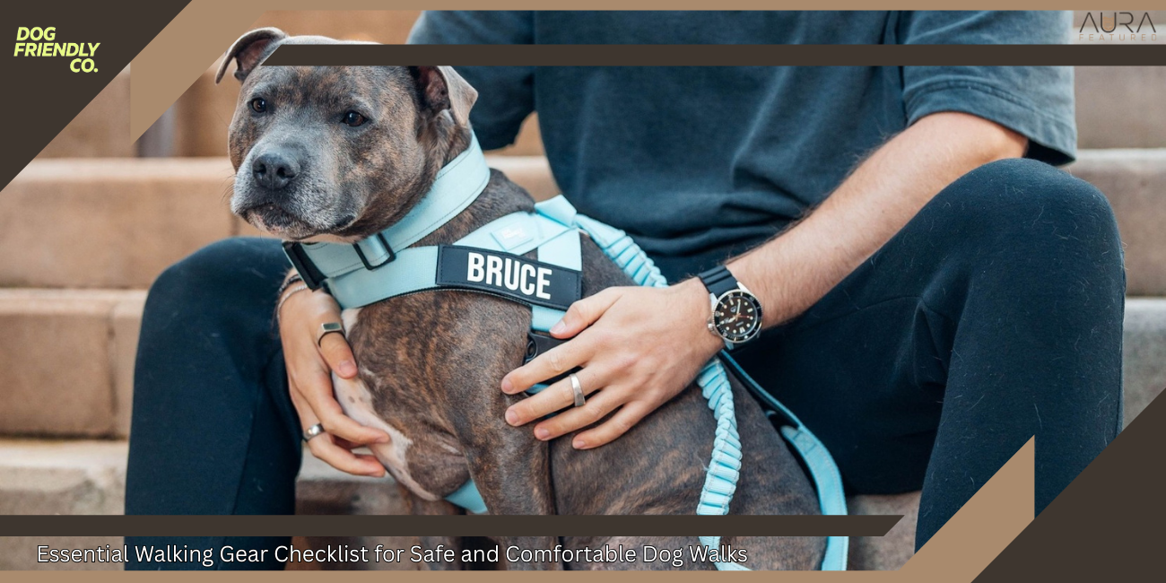 Essential Dog Walking Gear Checklist